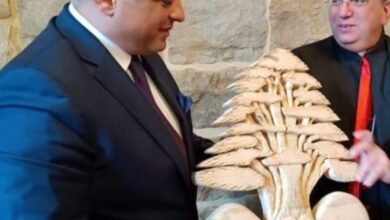 المرتضى لبنان أولا ... الإختلاف بعد النجاة.