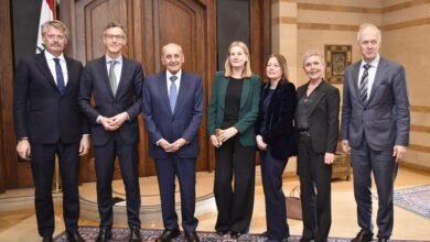 نشاط الرئيس بري في عين التينة