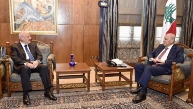 نشاط الرئيس نبيه بري في عين التينة