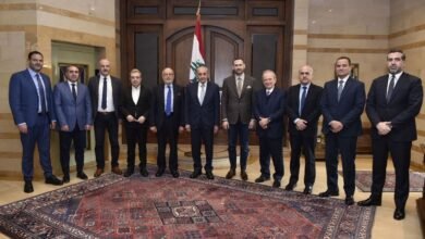 سلسلة لقاءات للرئيس نبيه بري في عين التينة