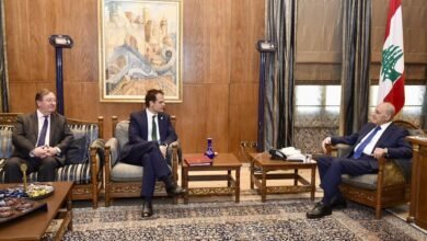 نشاط الرئيس نبيه بري في عين التينة