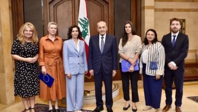نشاط الرئيس نبيه بري في عين التينة