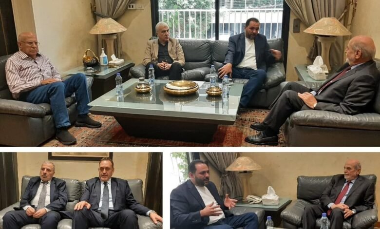 حردان استقبل حجازي واللقاء تناول التطورات السياسية والأوضاع العامة