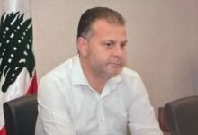 النائب ينال صلح: تثبيتهم حق وسنعمل على إنصافهم