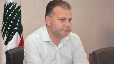 النائب ينال صلح: تثبيتهم حق وسنعمل على إنصافهم