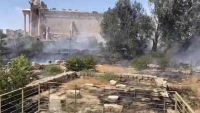 اندلع حريق في الأعشاب اليابسة داخل محيط قلعة بعلبك