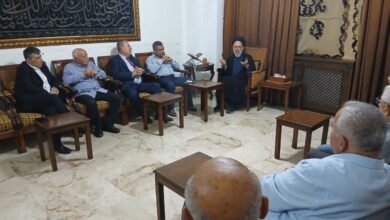 العلامة فضل الله: لتوحيد الجهود ورفع الصوت لوقف هدم وجرف قرى الجنوب